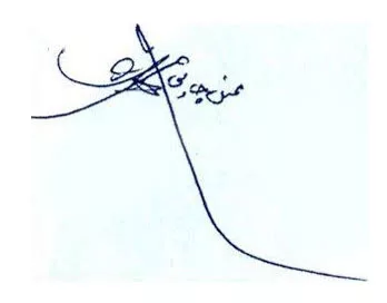 محسن چاوشی
